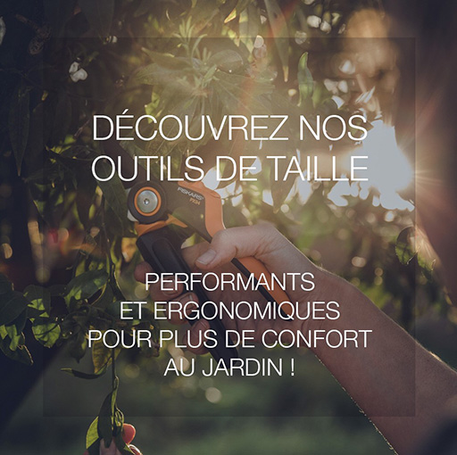 Découvrez nos outils de taille